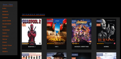 Ibogiv l’un des meilleurs site de streaming 2021