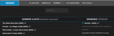 Tarniv le nouveau site de Streaming qui fait fort